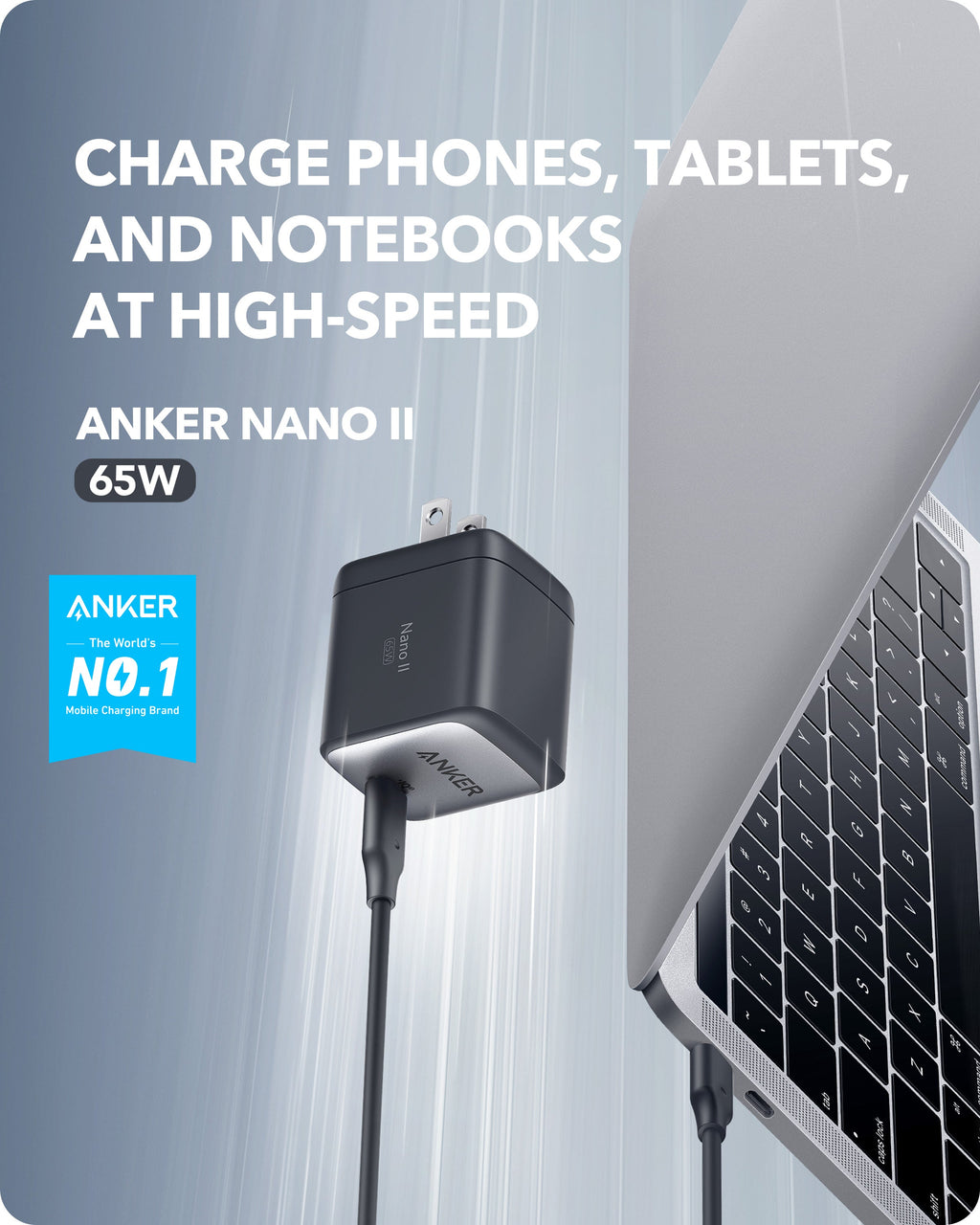 Cel Charger 65W)