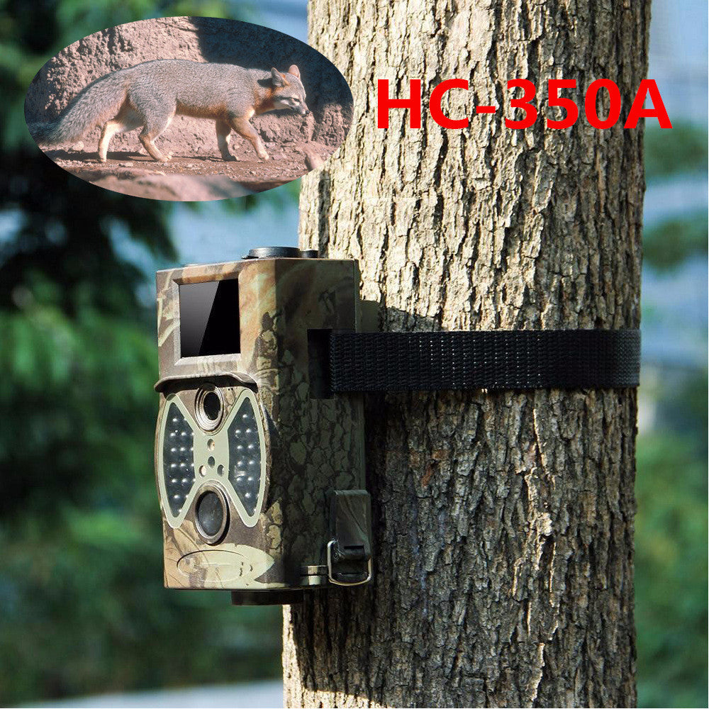 Security Surveillance Camera